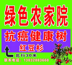 农家院红豆杉广告牌