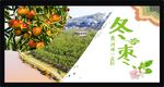 冬枣宣传