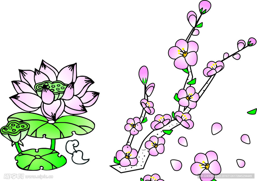 梅花 荷花  插画