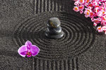 养生素材