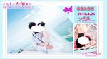 结婚照