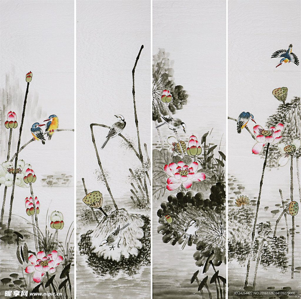 荷花