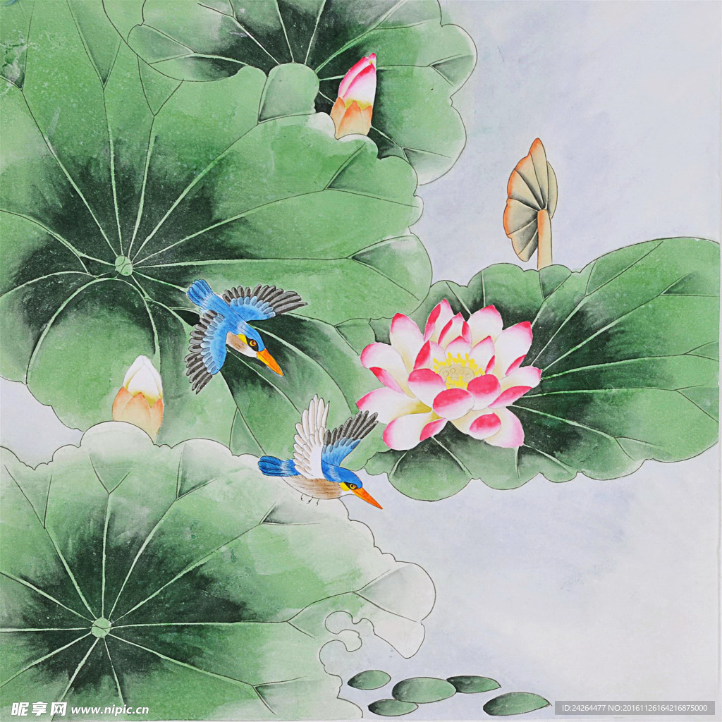 工笔荷花