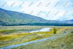 草原湿地