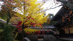 南郸寺