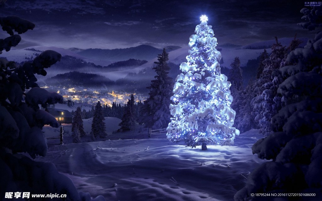 唯美夜光下的双圣诞树