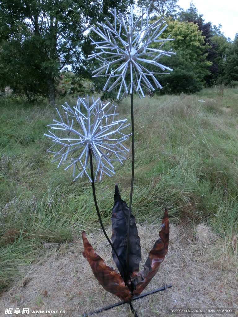 花