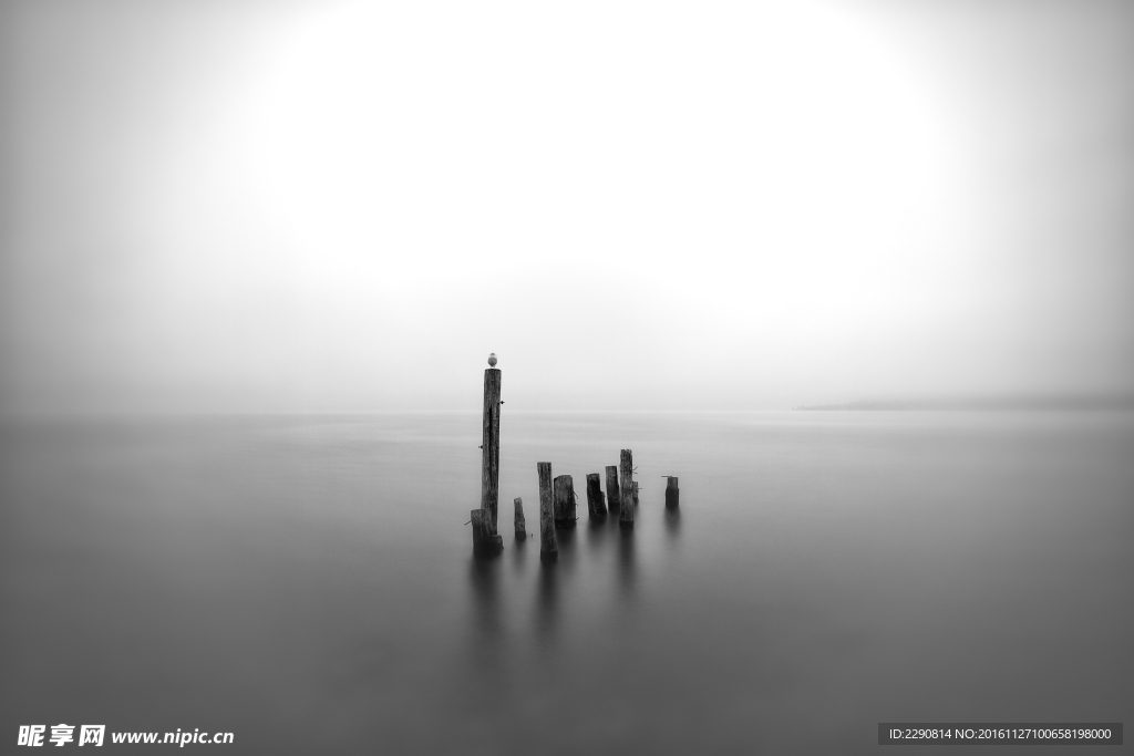 海