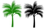 椰子树笔刷