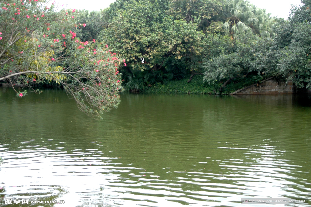 湖边湖水