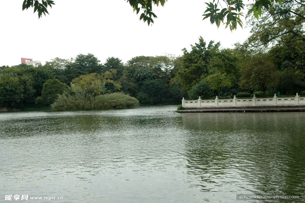 湖边湖水 倒影