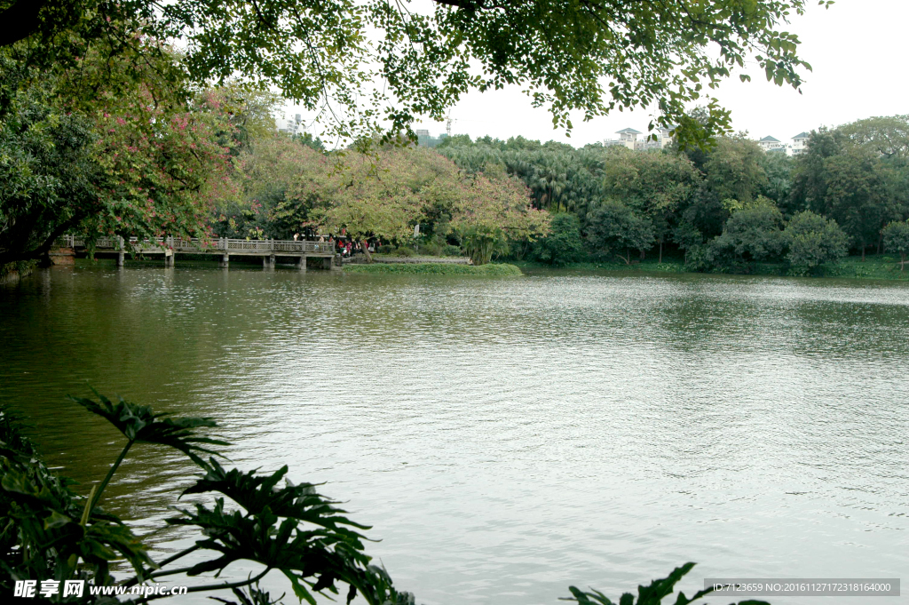 湖边湖水 倒影