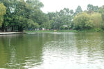 湖边湖水