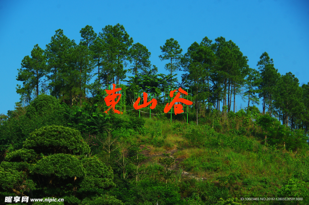 森林字牌 东山谷