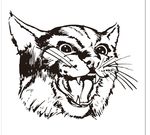 猫头