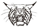 野猫头