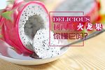 火龙果的七大营养价值