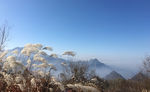 秦岭山顶的芦苇荡