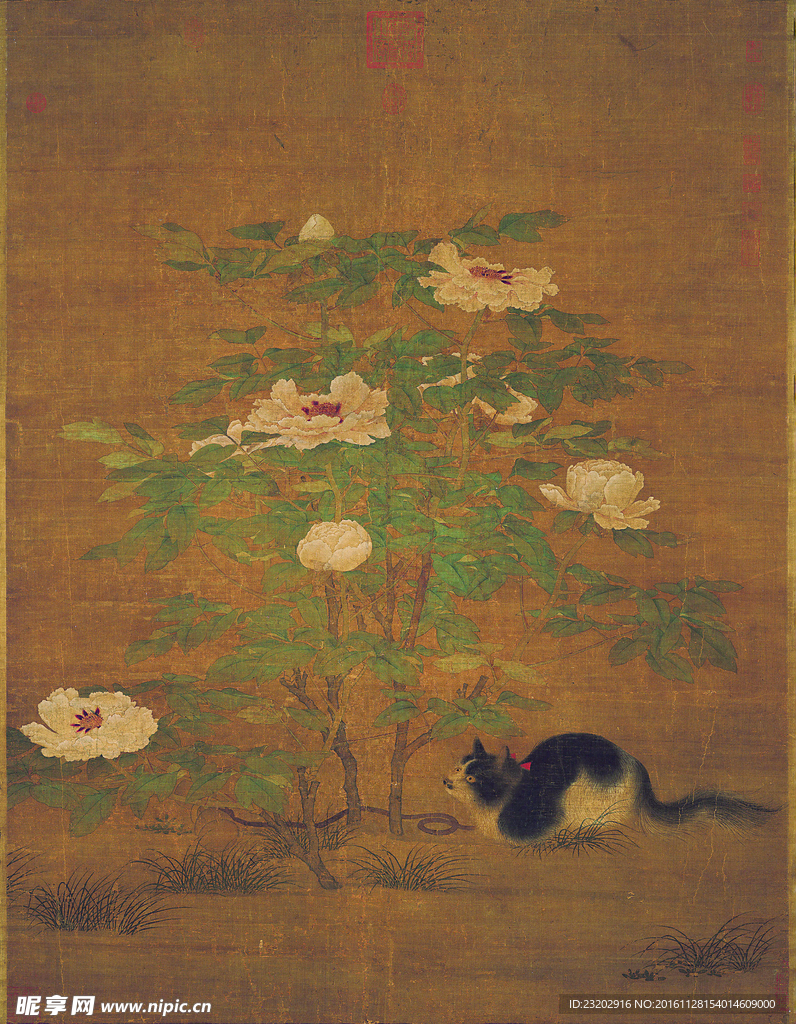 富贵花狸图