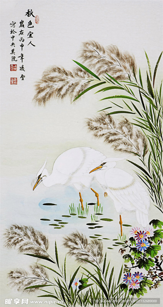 国画鸟