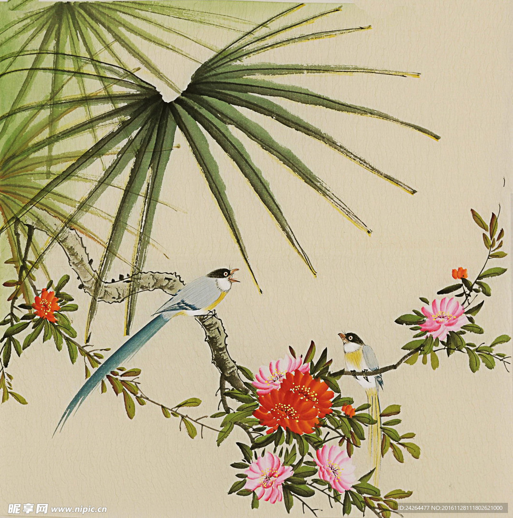 工笔画 鸟 花卉