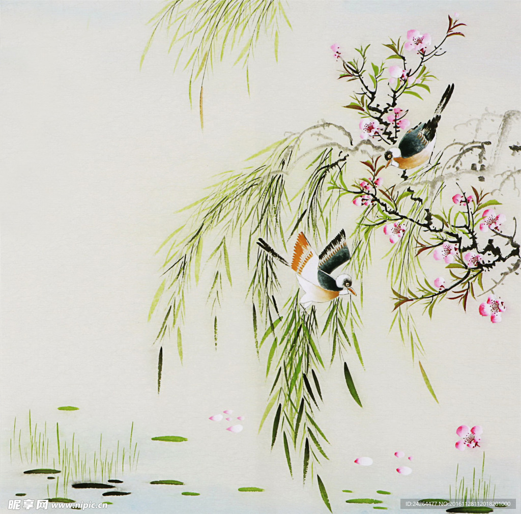 花鸟