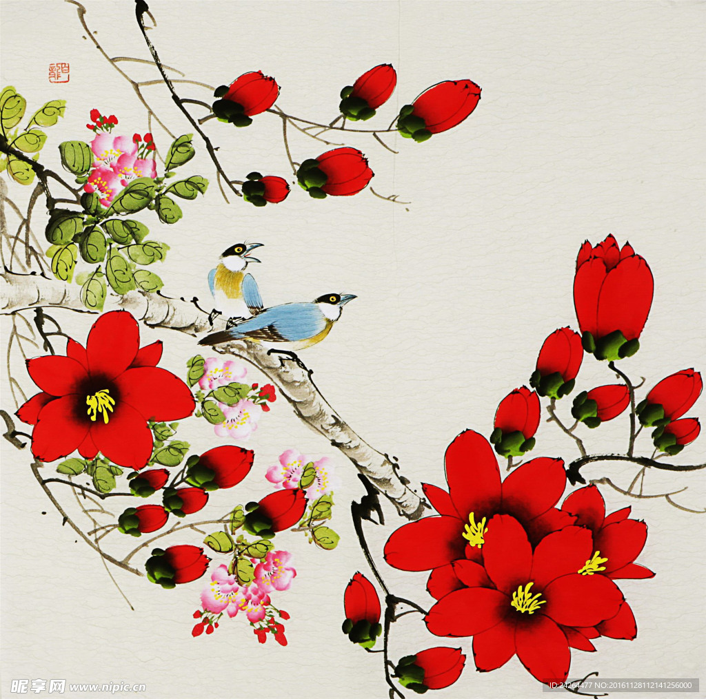 玉兰花