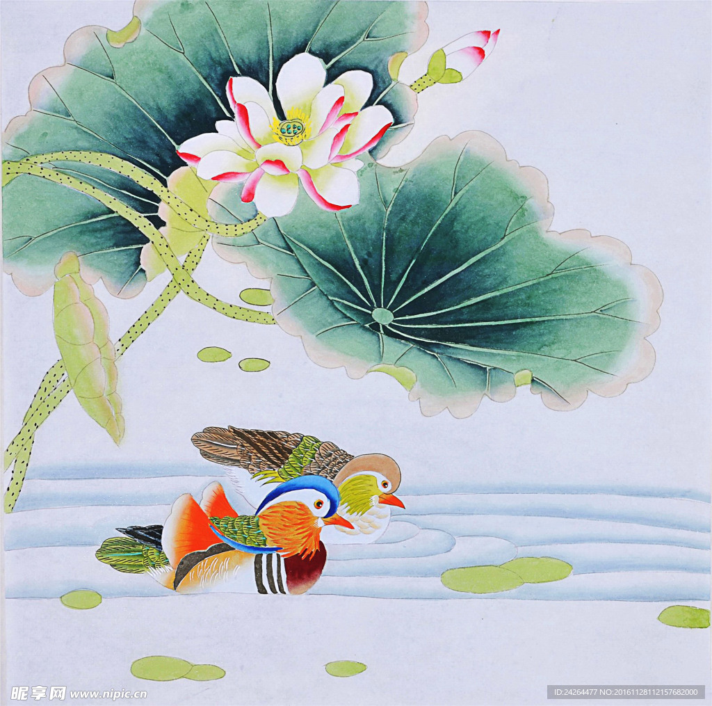 工笔荷花