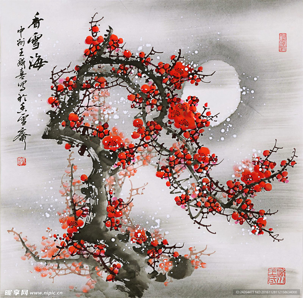 红梅