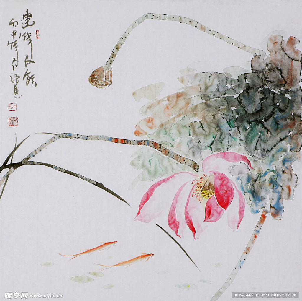 国画荷花