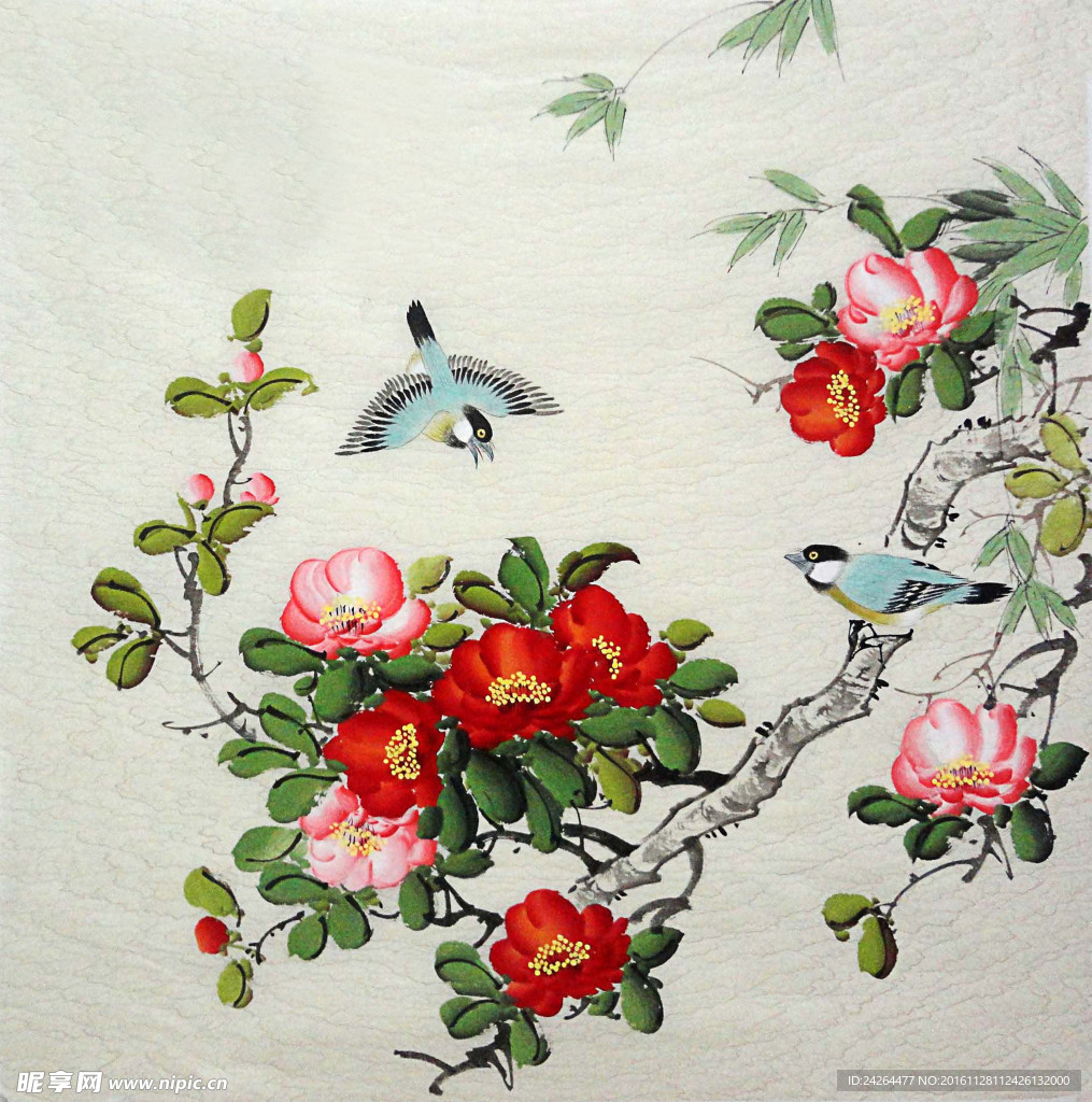 工笔  茶花  鸟
