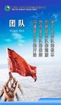 团队