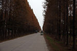 乡村公路风景