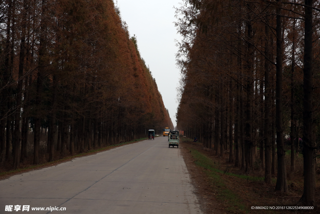 乡村公路风景