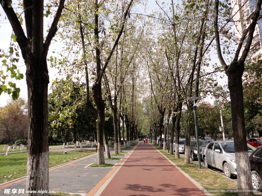 路