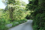 山路
