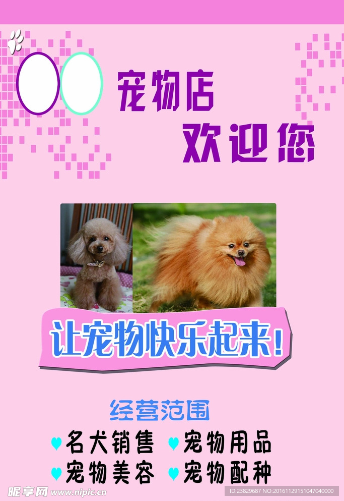 宠物店