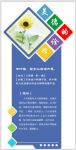 美德的诠释