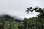 山中云雾