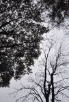 秋天的天空