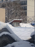雪 屋顶