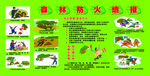 森林防火墙报