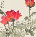 火焰花