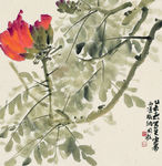 火焰花