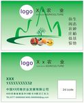 绿色农业名片设计