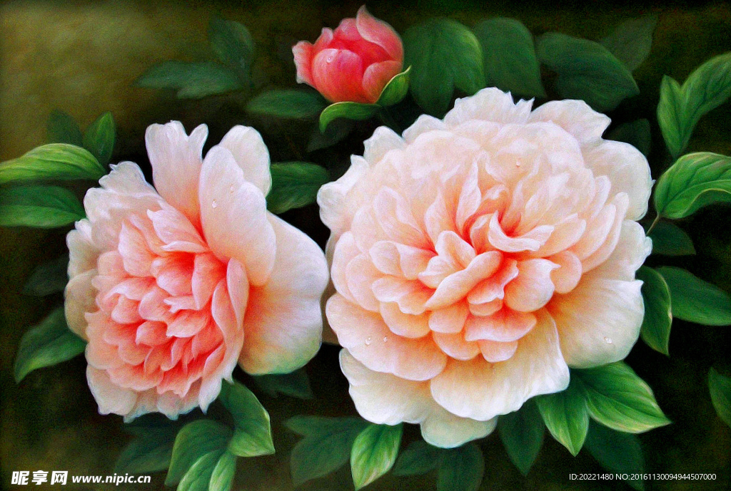 装饰画 花