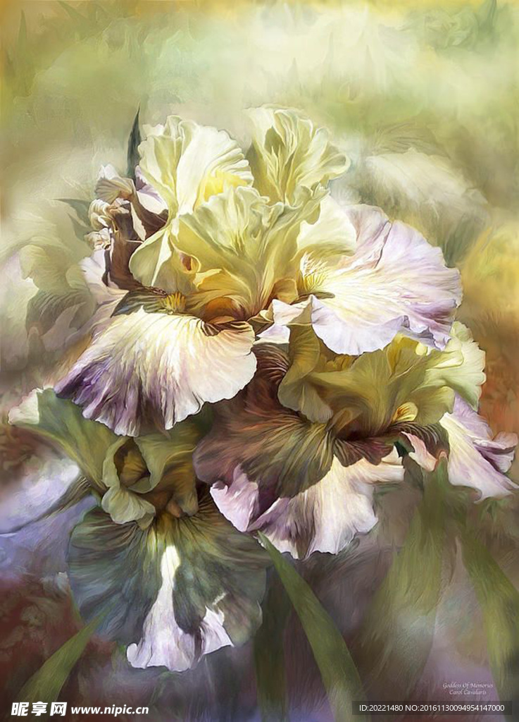 装饰画 花