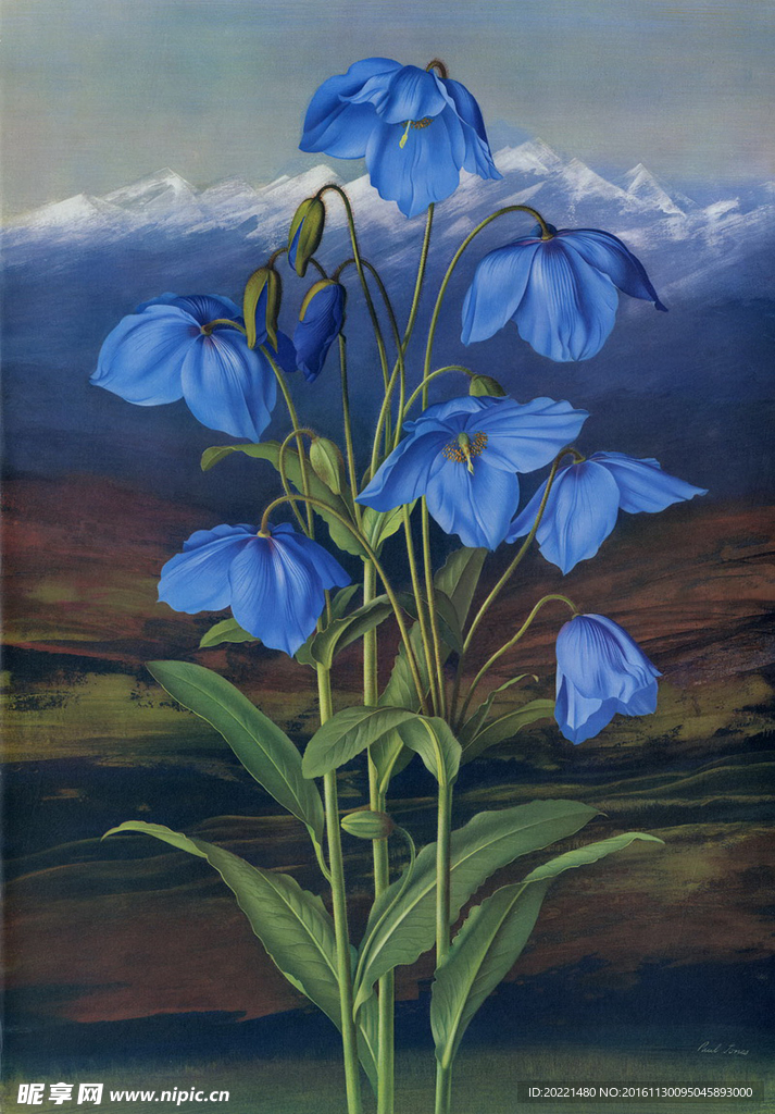 装饰画 花