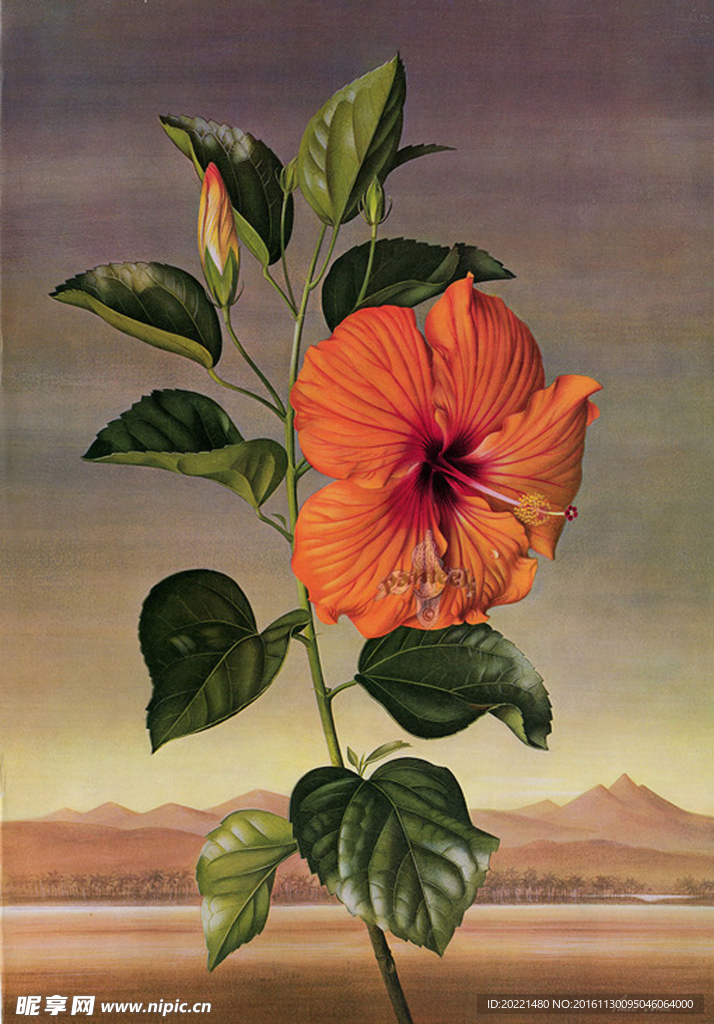 装饰画 花