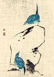八大的鸟